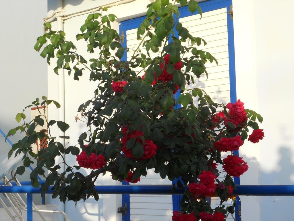 Dimitra Apartment Hotel سكافيديا المظهر الخارجي الصورة